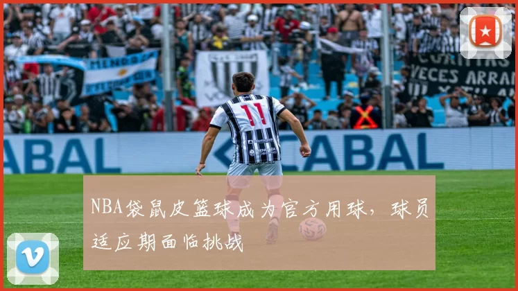 NBA袋鼠皮篮球成为官方用球,球员适应期面临挑战